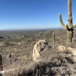 Redington Pass Dispersed