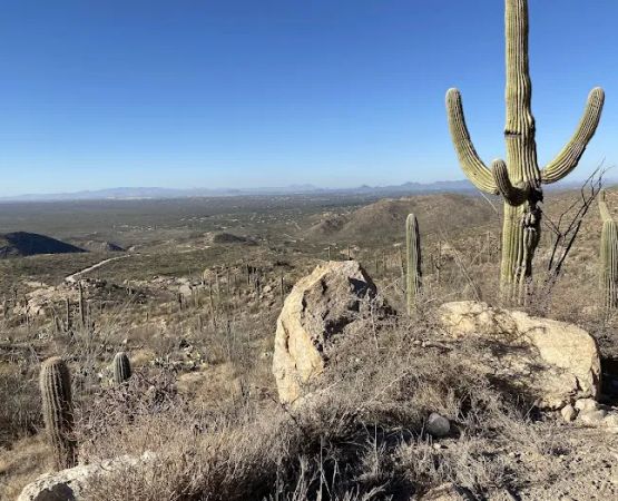 Redington Pass Dispersed