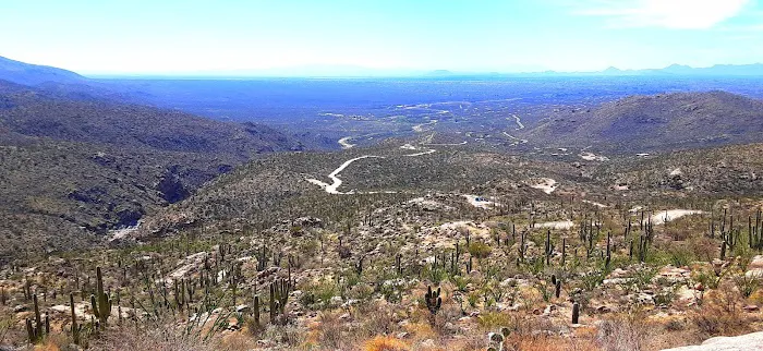 Redington Pass Dispersed 8