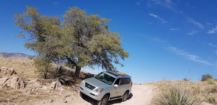 Redington Pass Dispersed 4