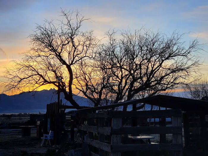 Cattlerest RV Park and Saloon 9