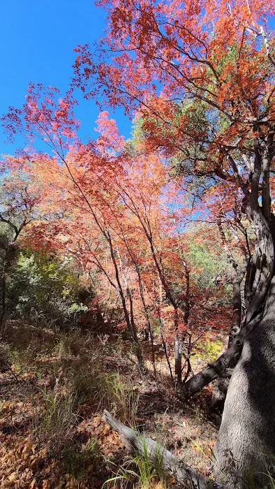 Lower Garden Canyon Park 3