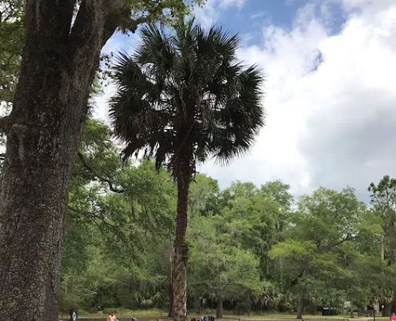 Juniper Springs Recreation Area