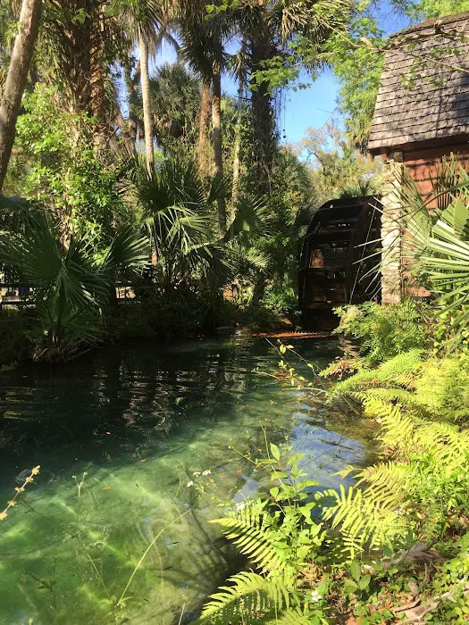 Juniper Springs Recreation Area 4