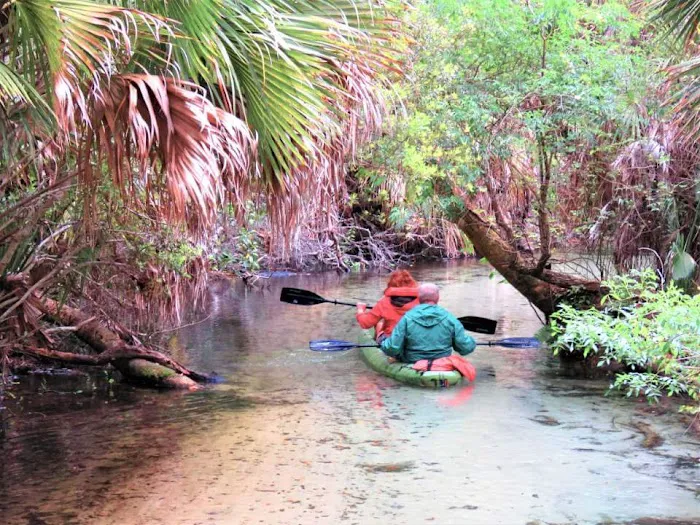Juniper Springs Recreation Area 2