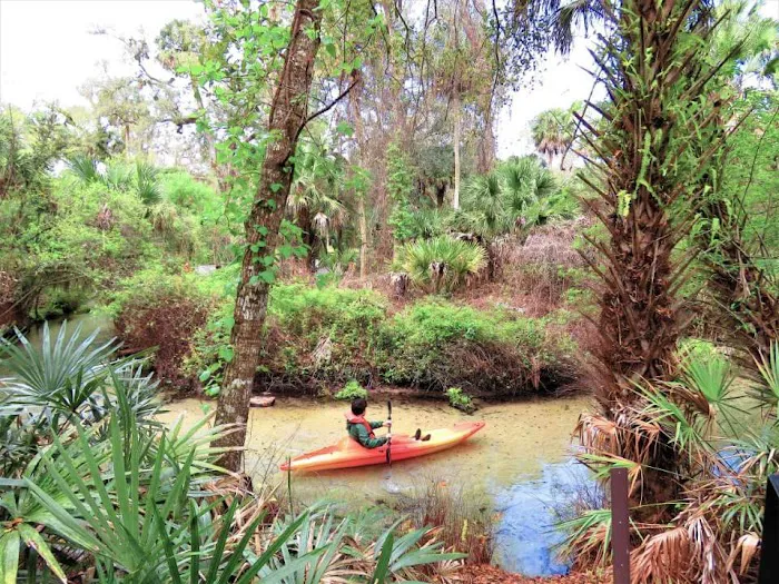 Juniper Springs Recreation Area 5