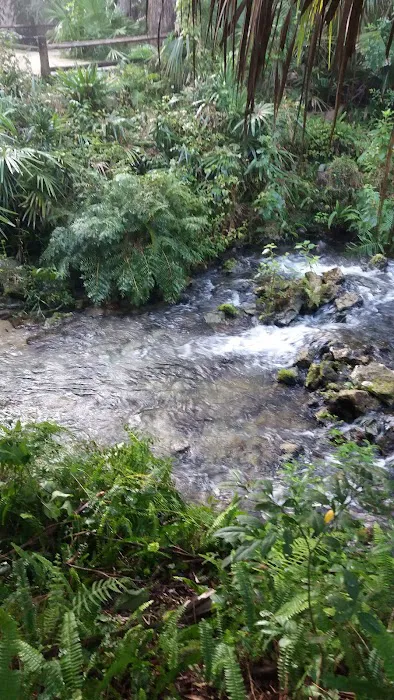 Juniper Springs Recreation Area 9