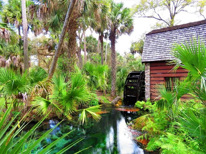 Juniper Springs Recreation Area 6