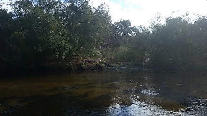 Juniper Springs Recreation Area 7