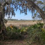 Faver-Dykes State Park Campground