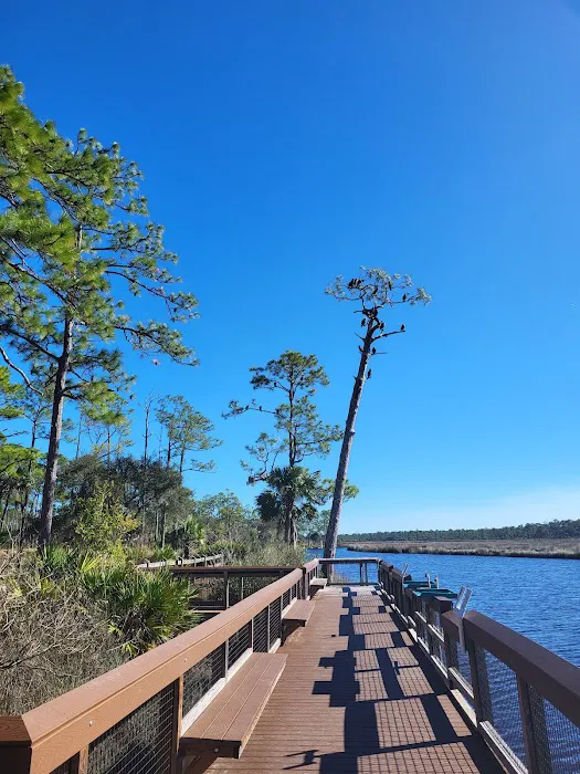 Faver-Dykes State Park Campground 5