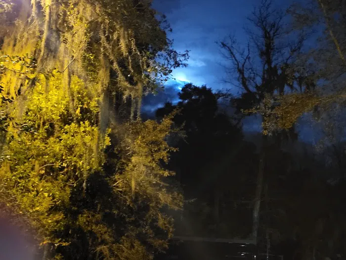 Faver-Dykes State Park Campground 8
