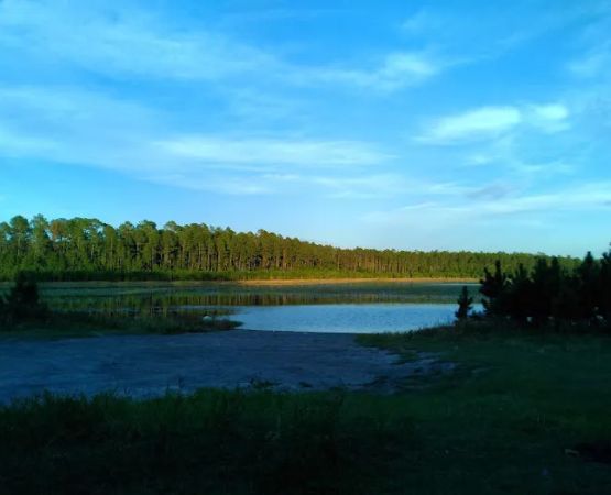Trout Pond