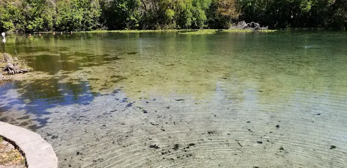 Alexander Springs Recreation Area 1