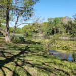 Alexander Springs Recreation Area