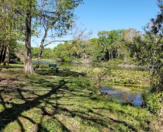 Alexander Springs Recreation Area