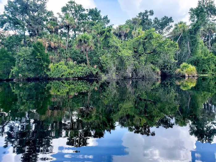 Alexander Springs Recreation Area 9