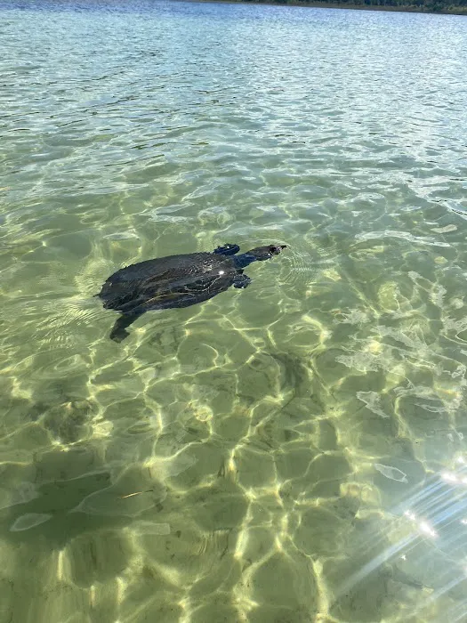 Clearwater Lake Recreation 6