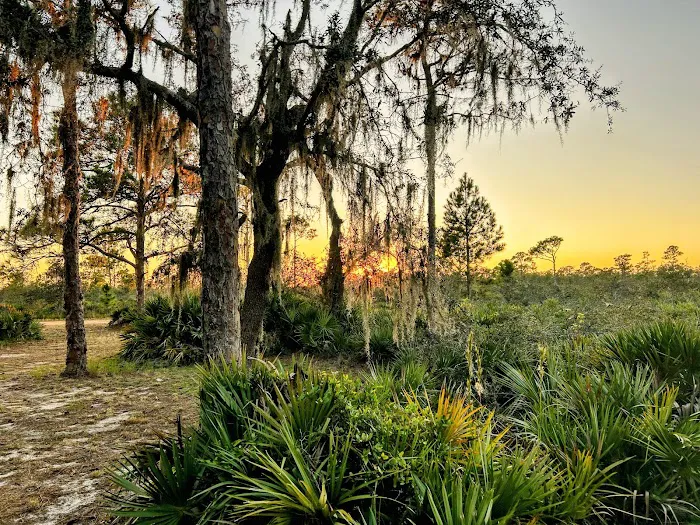 Highlands Hammock State Park Campground 3
