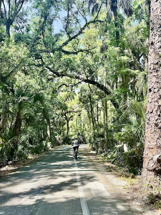 Highlands Hammock State Park Campground 5