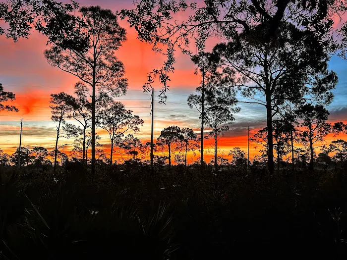 Highlands Hammock State Park Campground 1