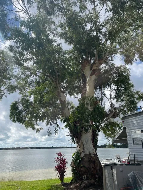 Lake Placid Campground 3