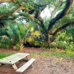 Oak Creek North Campsite