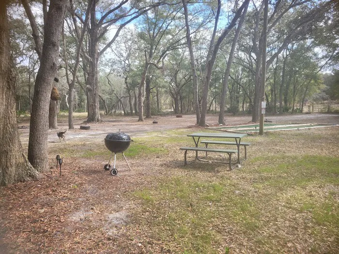 Nature's hug camping 4