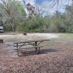 Flying Eagle Primitive Campground exact site