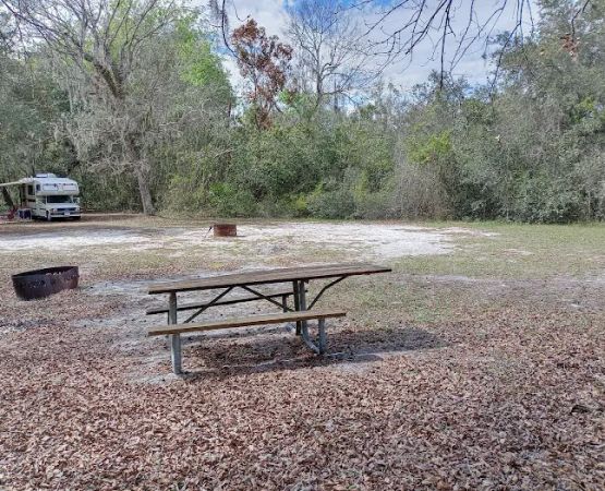 Flying Eagle Primitive Campground exact site