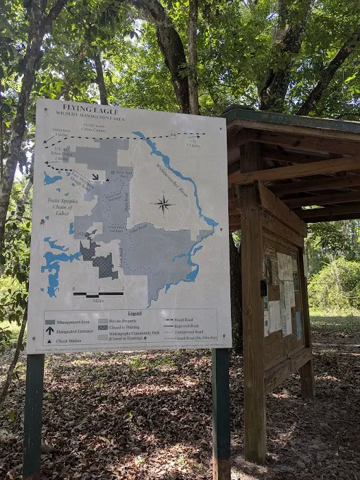 Flying Eagle Primitive Campground exact site 3
