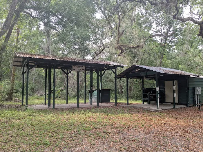 Flying Eagle Primitive Campground exact site 8