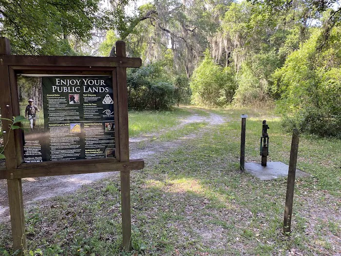 Flying Eagle Preserve Campground 2