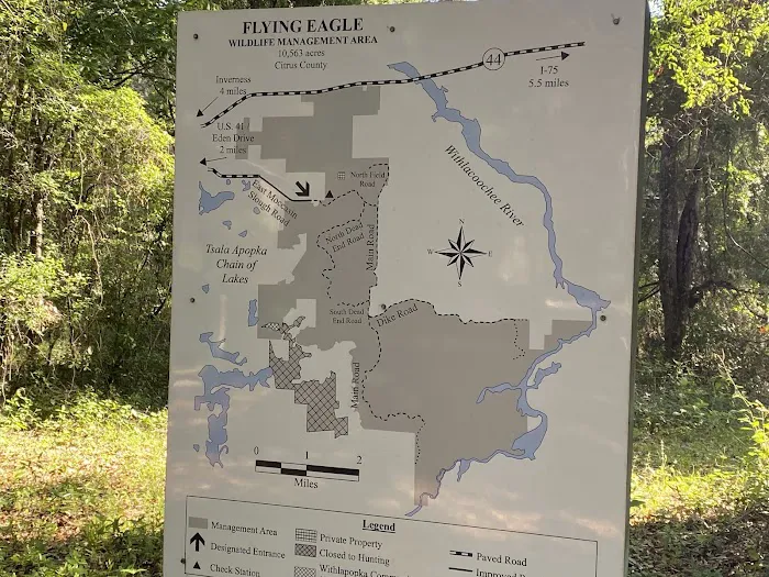 Flying Eagle Preserve Campground 4