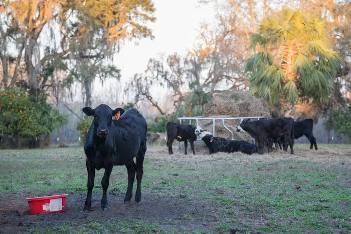 Wonderfield Farm & Retreat 3