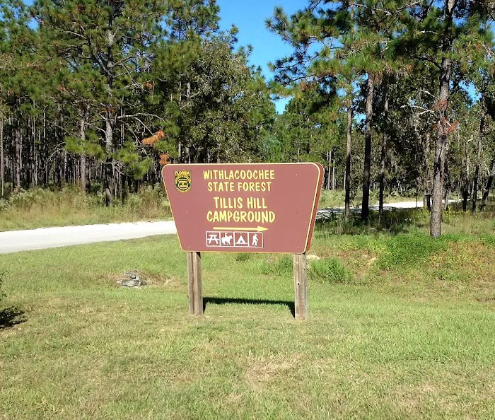 Tillis Hill Recreation Area 4