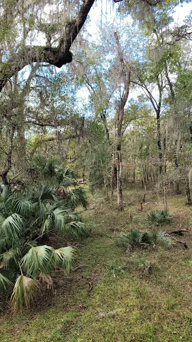 Tillis Hill Recreation Area 1