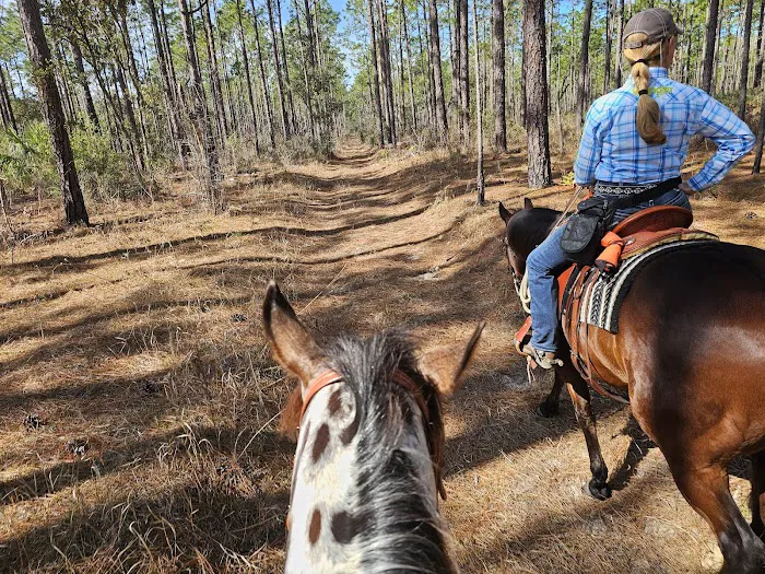 Tillis Hill Recreation Area 9