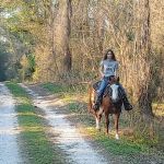 Bearhead Hammock Recreational Area