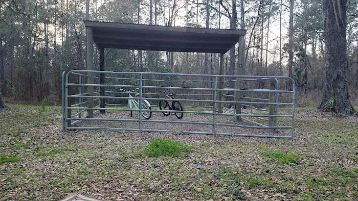 Bearhead Hammock Recreational Area 3