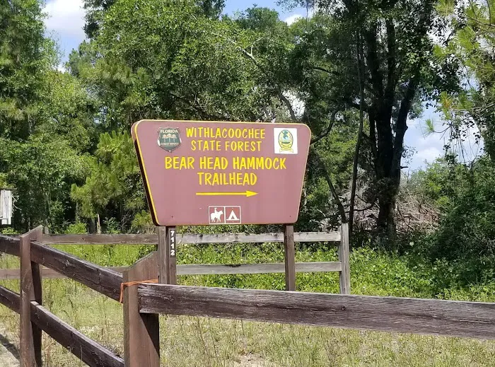 Bearhead Hammock Recreational Area 6