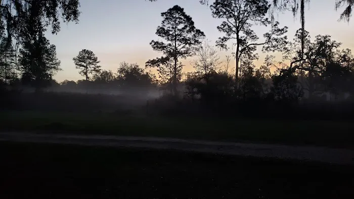 Bearhead Hammock Recreational Area 9
