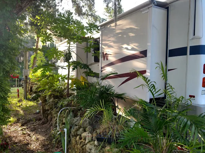 Ozello Keys Fish Camp 3