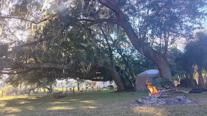 Quad Palms Rad Ranch 3