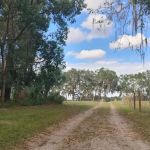 Quad Palms Rad Ranch