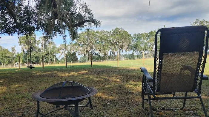 Quad Palms Rad Ranch 1