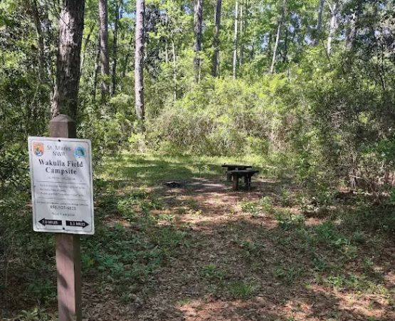 Wakulla Field Campsite