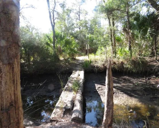Pinhook River Campsite