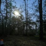 Whitehead Lake Campground