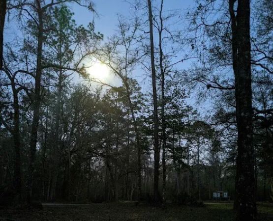 Whitehead Lake Campground